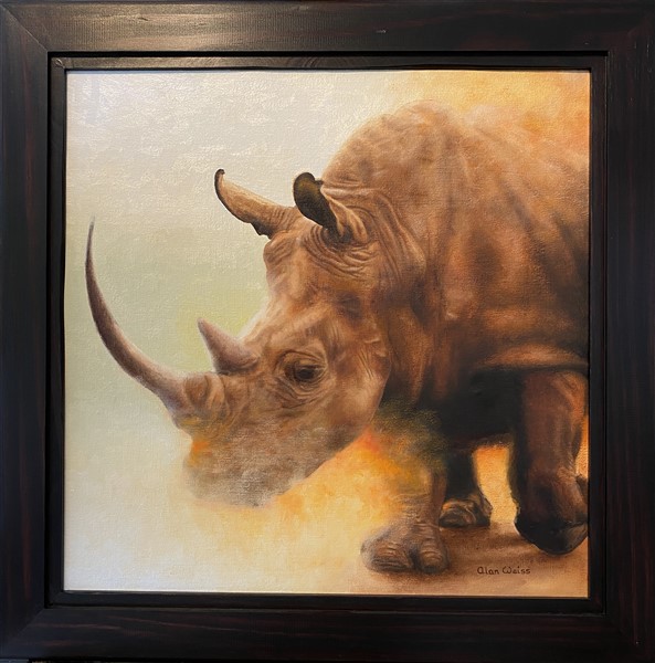 Red Rhino Frame (593 x 600)
